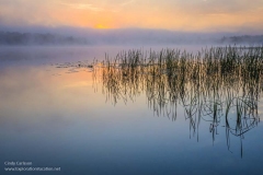 Subdued dawn on Lake Wabana