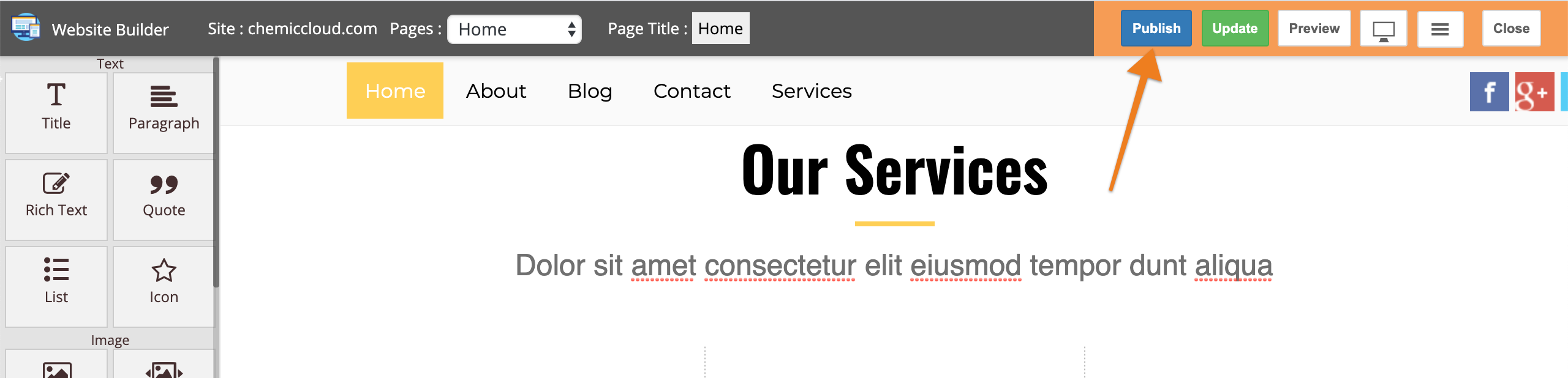 Publish Website