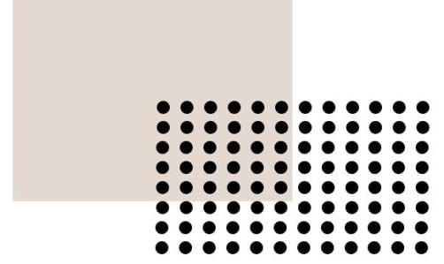 WordPress 5 6 4 1