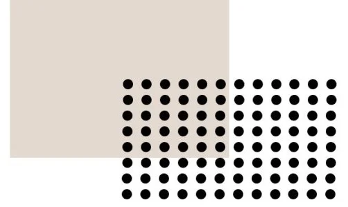 WordPress 5 6 4 1