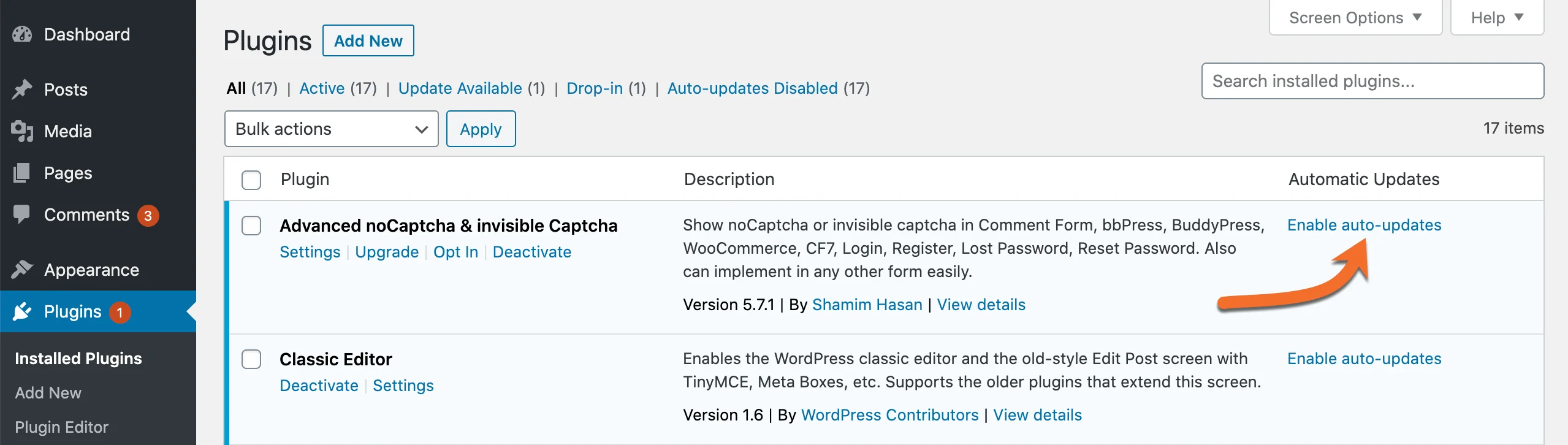 WordPress Dashboard Plugins Enable auto updates