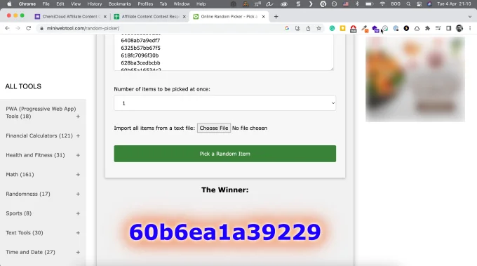 Affiliate Content Contest Winnter