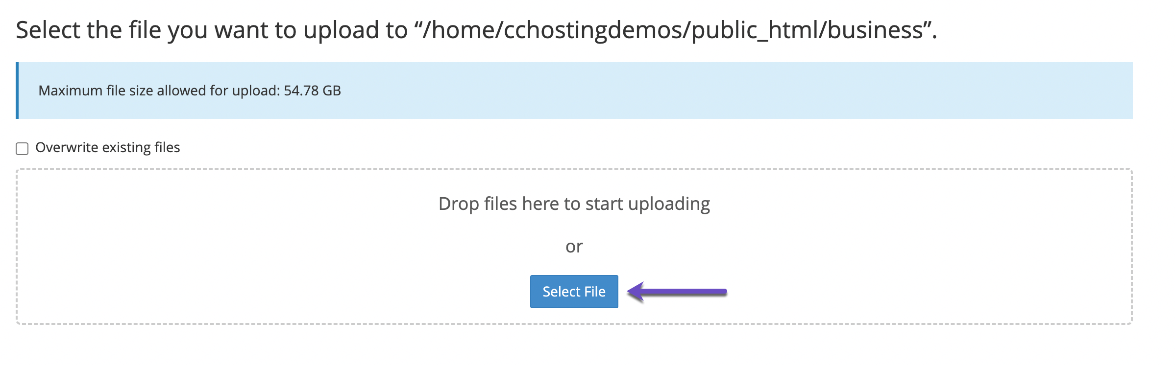 File Manager Select File