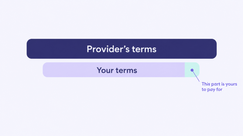 Provider and Your Hosting Terms
