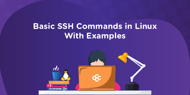 19 Basic SSH Commands In Linux With Examples