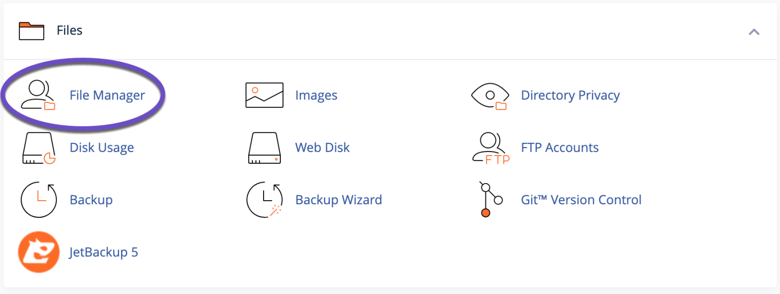cPanel Files File Manager 1