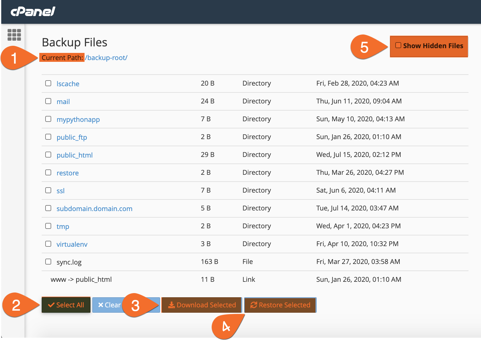 How to Restore Backups Using JetBackup 4 in cPanel