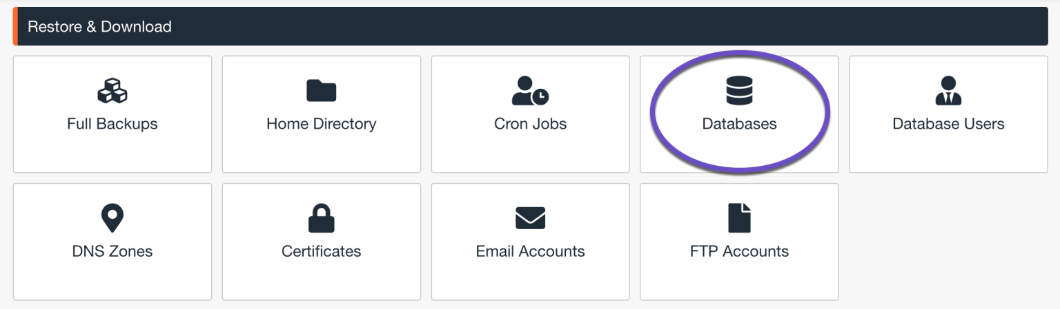 How To Restore Backups Using JetBackup 5 In CPanel